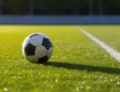 体育网址,资讯,333体育网址,333体育网址,333体育平台,333体育官网app,333体育官网登录