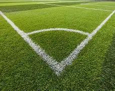 俄方期待乌,克兰问题和,平谈判顺利,333体育网址,333体育平台,333体育官网app,333体育官网登录