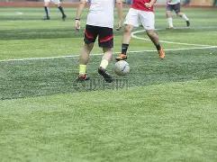 广州福彩快,新年百万赠,票活动于,333体育网址,333体育平台,333体育官网app,333体育官网登录