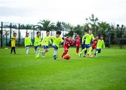 体育网址,资讯,333体育网址,333体育网址,333体育平台,333体育官网app,333体育官网登录