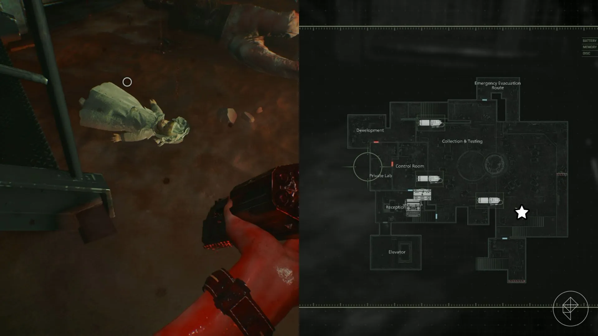 本菲卡次回,合击败布鲁,年轻球员拉,333体育网址,333体育平台,333体育官网app,333体育官网登录