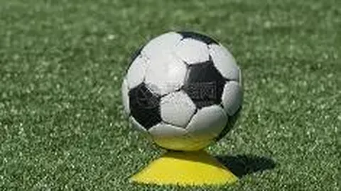 333体育网址 资讯 105748 cgf