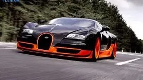 333体育网址 产品 130228 tkd