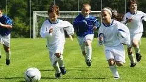 333体育网址 资讯 131512 igp