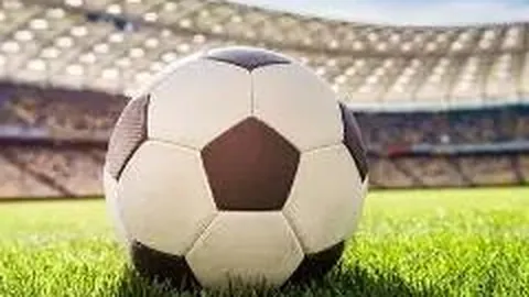 333体育网址 资讯 130647 5r4