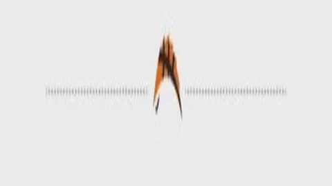 东西部巅峰对决，粉丝狂欢盛宴即将开启！🔥🎉